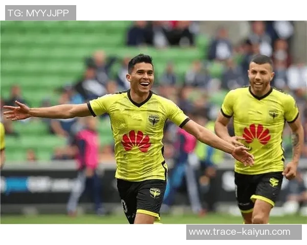 墨尔本足球队:追逐胜利的梦想与激情的绿茵场上演绎传奇 墨尔本足球队:追逐胜利的梦想与激情的绿茵场上演绎传奇